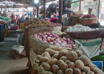 कालीमाटीमा प्याज भेट्न मुश्किल, अन्त बजारमा छोइनसक्नु महंगो