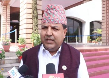 डा. सुनिल शर्मालाई रिहा गर्न काठमाडौं जिल्ला अदालतको आदेश