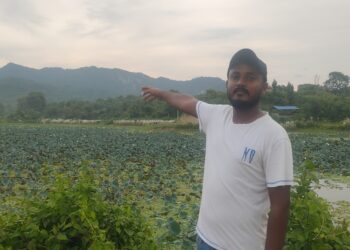 कमल दह प्रचार प्रसारकाे ओझेलमा
