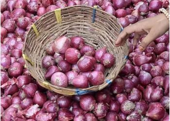 प्याजको भाउ ह्वात्तै बढ्यो, हरियो तरकारीको भाउ भने घट्यो