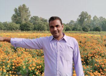 गाेलबजारमा शिक्षण पेशा छाडेर फूल खेती,