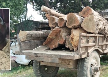 काठ तस्करीको आरोपमा पक्राउ परेका व्यसायी हिरासत छल्न विरामीको वाहाना