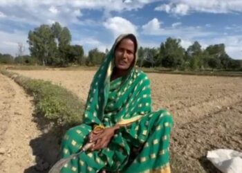 सिरहामा अनुदानको गहुँकाे बिउ नउम्रिएपछि १ सय १० बिघा खेत बाँझै
