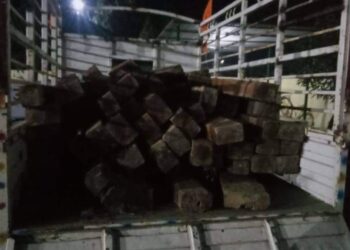 सिराहामा काठसहित गाडी र चालक नियन्त्रणमा