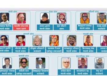 अन्तिम मतपरिणाम सार्वजनिक : यी हुन् नवनिर्वाचित १९ राष्ट्रियसभा सदस्य (मत परिणामसहित)