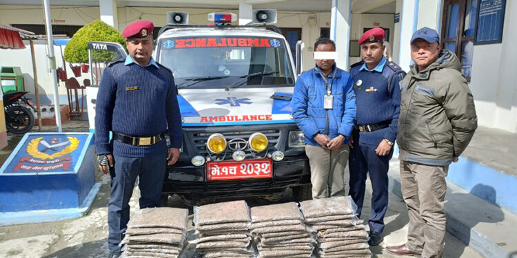 एम्बुलेन्स र तेल बाेक्ने ट्याङ्करमा गाँजा तस्करी