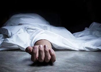 बैतडीमा रुखले च्यापिएर एक किशोरको मृत्यु