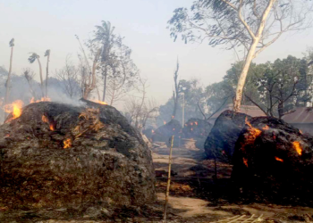 मधेसमा आगलागीको कहर,९ महिनामै २० जनाको मृत्यु