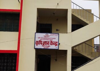 सिरहामा ९५ प्रतिशत रोपाइँ