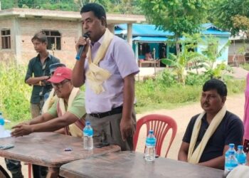 पर्यावरण जोगाउन वृक्षारोपण नगर प्रमुख श्रेष्ठ