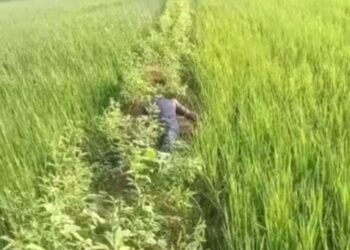 सिरहामा एक पुरुको शव भेटियो