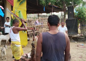 आश्विन शुक्ल नवमी : महानवमी पर्व मनाइँदै