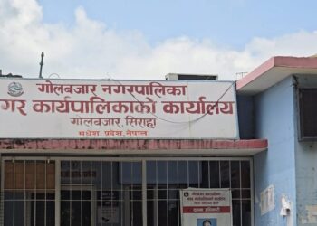 चोहर्वामा कृषि सडक निर्माण भएपछि किसान खुसी