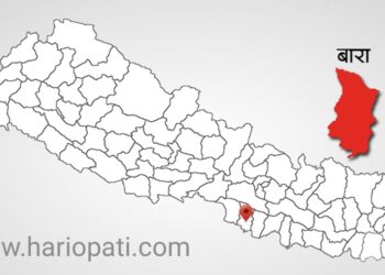 बारा प्रहरीको हिरासतबाट एक थुनुवा फरार