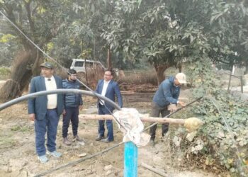गोलबजारमा एलआईपी डब्लु र वडा स्तरीय योजनाहरूको अनुगमन