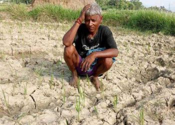 वर्षा नहुँदा रोपाइँ प्रभावित, किसान चिन्तित