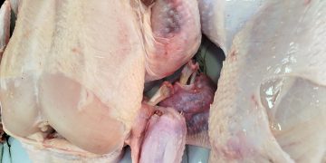 गोलबजारमा अनुगमन अभाव : कुहिएको मासु बिक्री भएको गुनासो