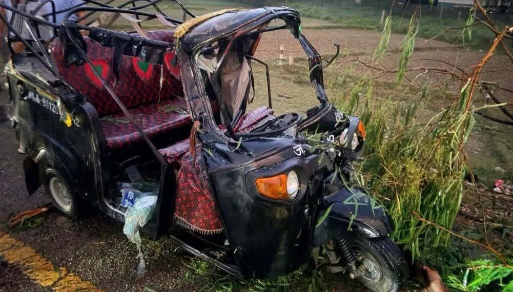 महोत्तरीमा टेम्पोमाथि रुख खस्दा दुई जनाको मृत्यु