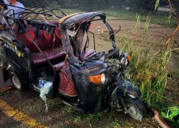 महोत्तरीमा टेम्पोमाथि रुख खस्दा दुई जनाको मृत्यु