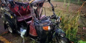 महोत्तरीमा टेम्पोमाथि रुख खस्दा दुई जनाको मृत्यु