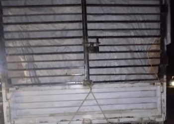 सिरहामा ४० लाख बराबरको ओखर र फेरन लब्ली सहित ट्रक प्रहरी नियन्त्रणमा