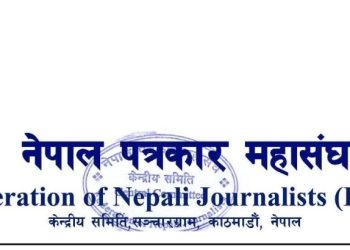 जथाभावी भिडियो सामाग्री बनाएर भ्रम फैलाएको भन्दै कारबाहीको माँग