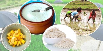 धान दिवससहित दही चिउरा खाएर असार १५ मनाइँदै