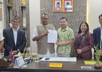 मधेस प्रदेशमा ९ वटा मन्त्रालय बनाउन सिफारिस