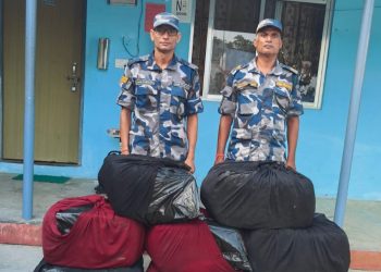 सिराहामा सशस्त्र प्रहरीद्वारा डेढ क्विन्टलभन्दा बढी गाँजा बरामद