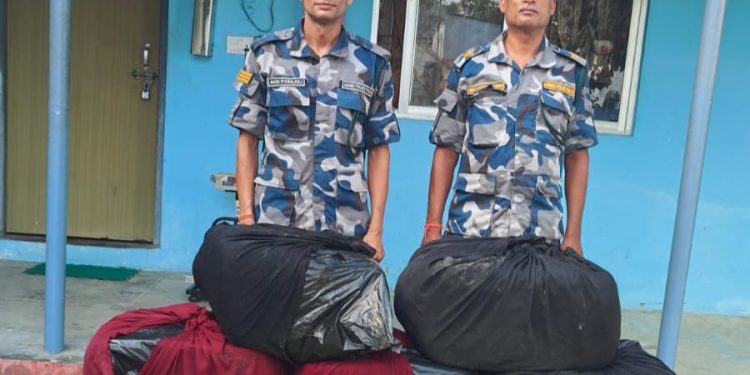 सिराहामा सशस्त्र प्रहरीद्वारा डेढ क्विन्टलभन्दा बढी गाँजा बरामद