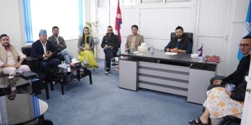 पत्रकार धरपडक प्रकरणमा छानबिन गर्न सरकारलाई रास्वपाको निर्देशन